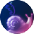大大的小蜗牛 icon